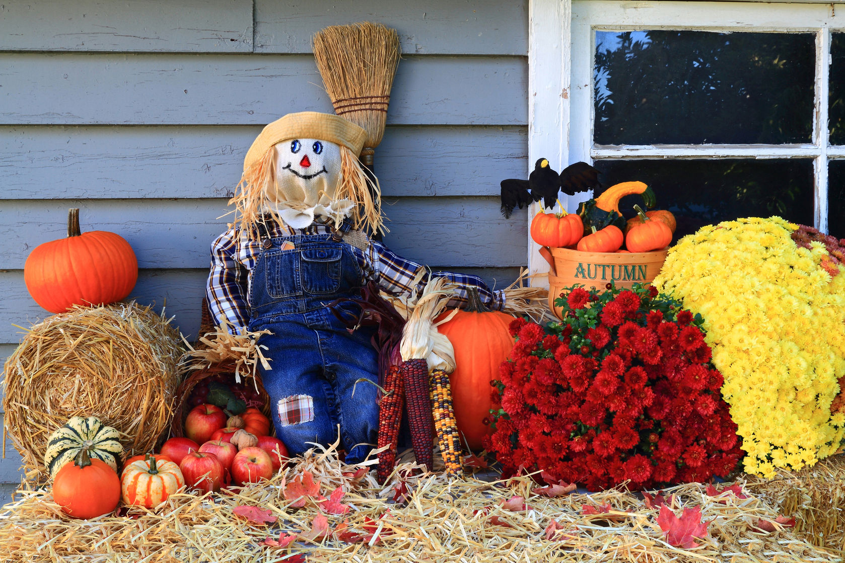 harvest scarecrow