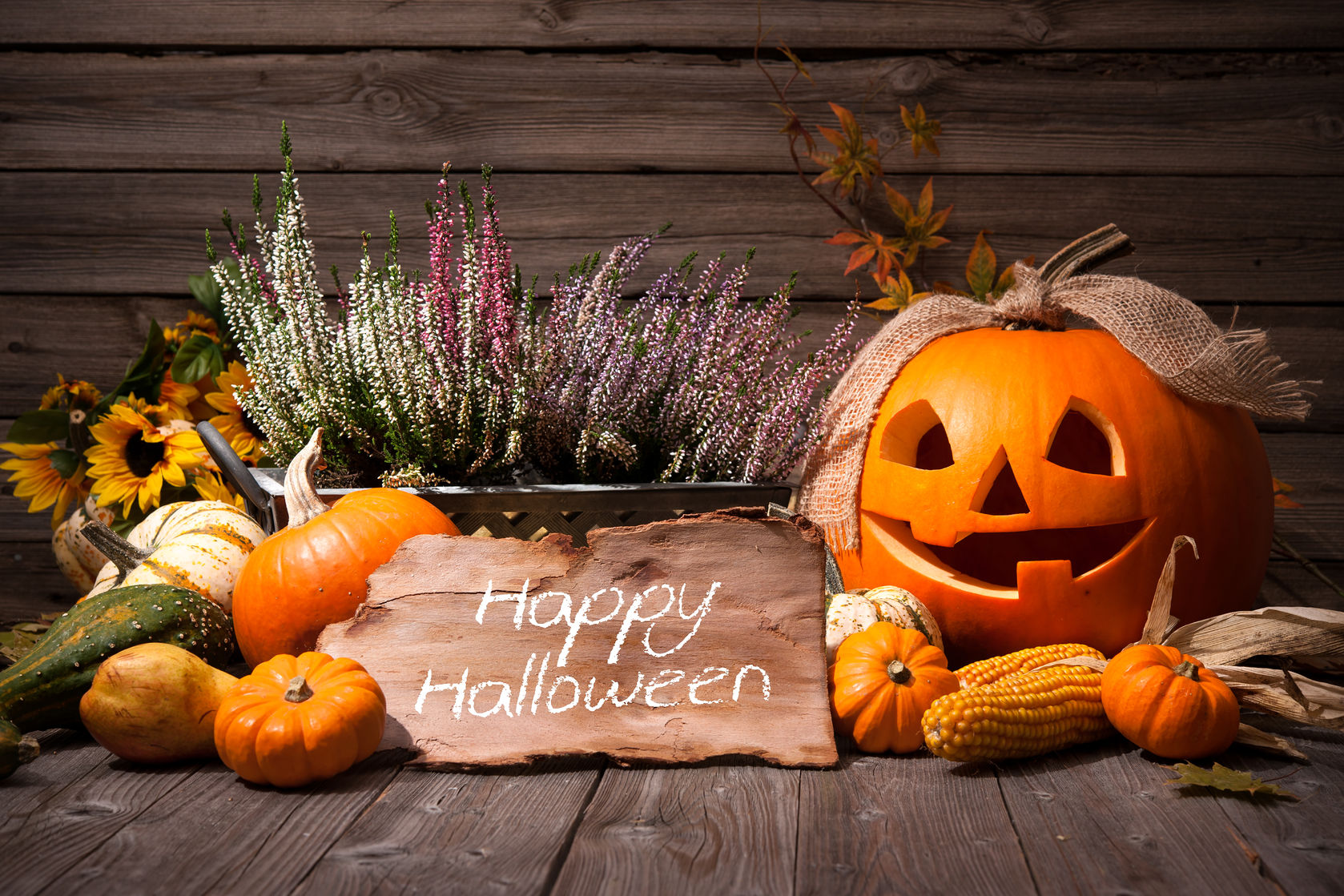 Halloween pumpkin