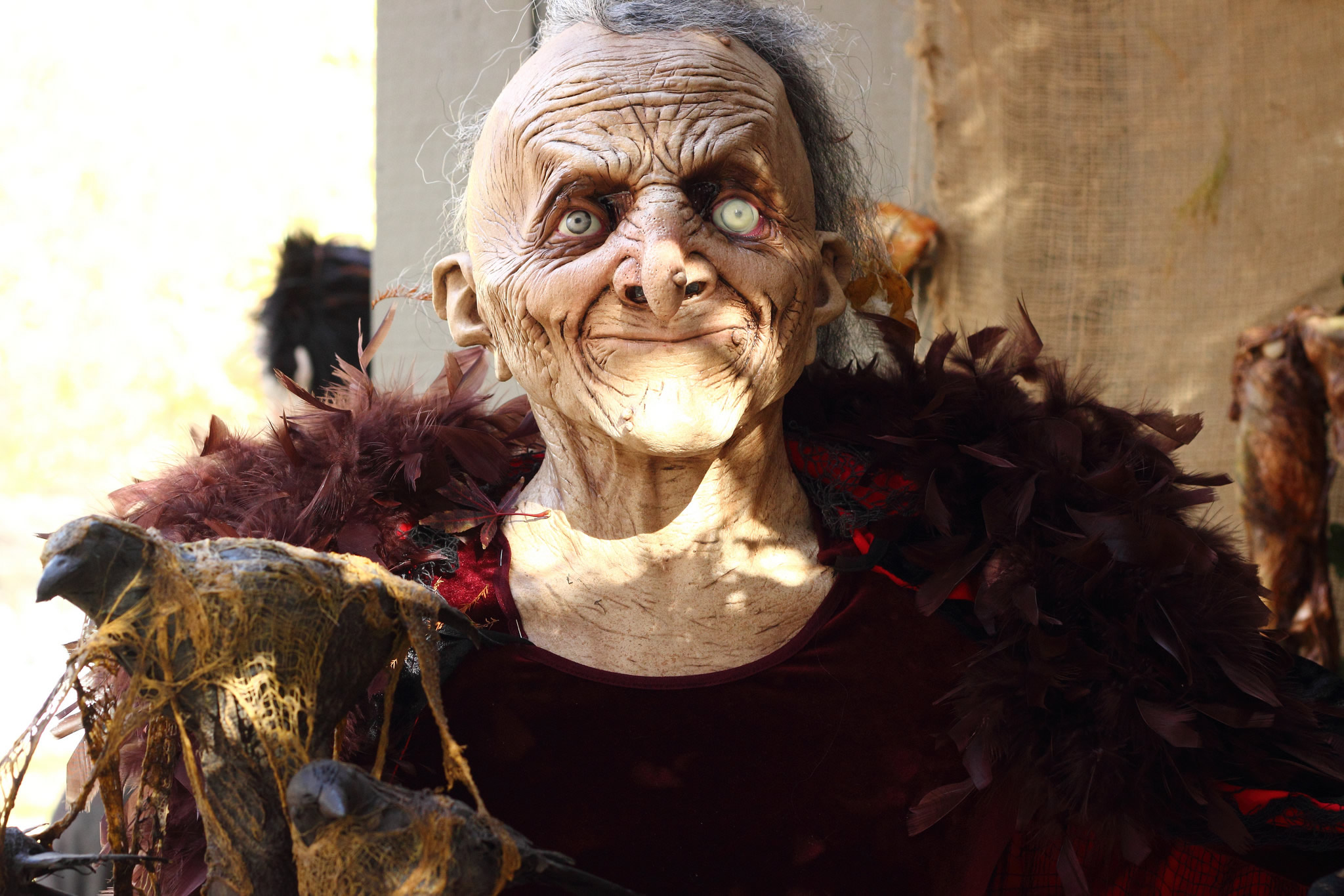 scary Halloween witch