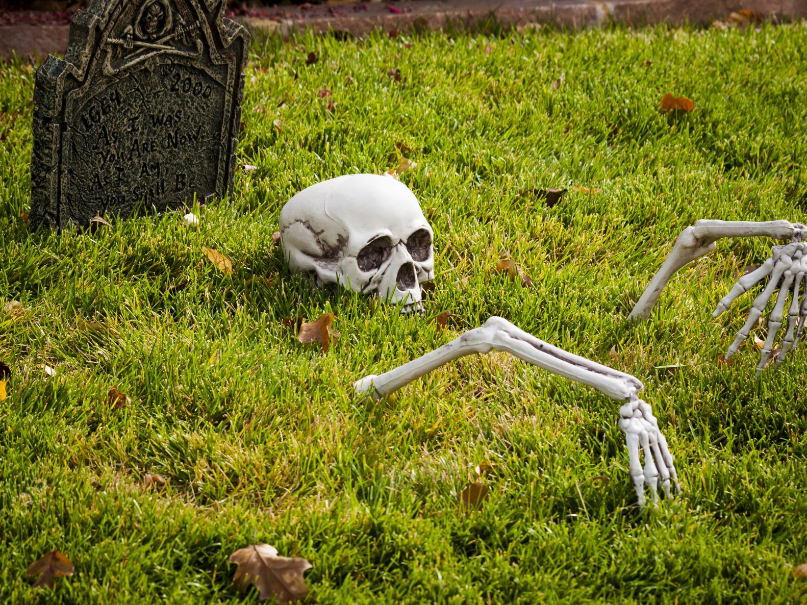 halloween graveyard scene