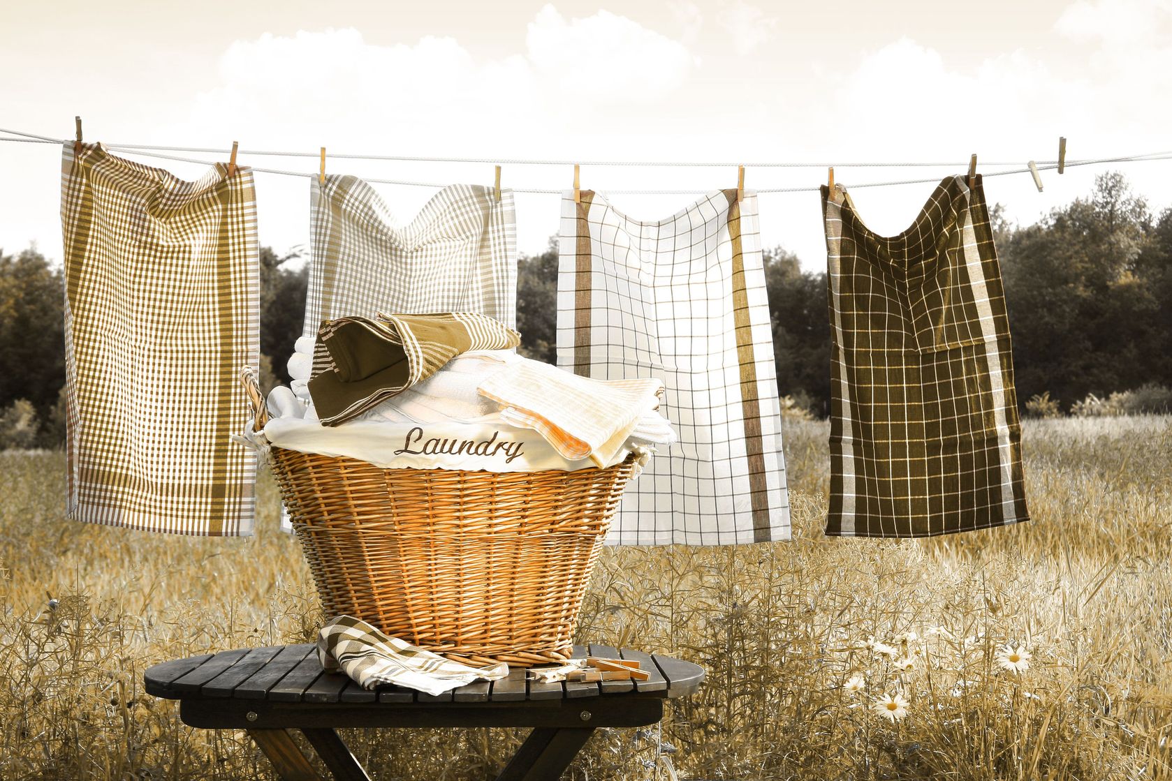 clothesline with basket