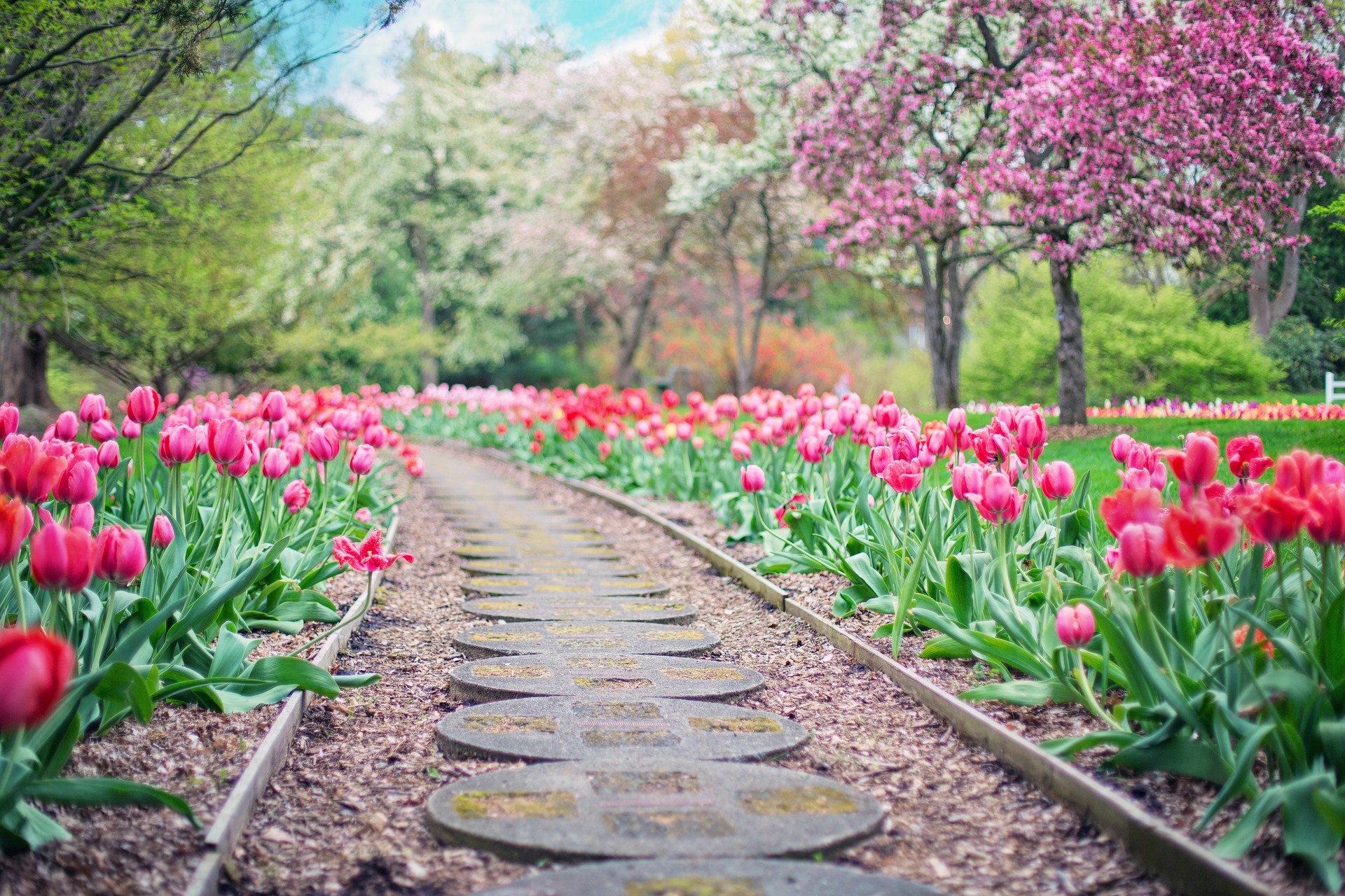 garden walkway