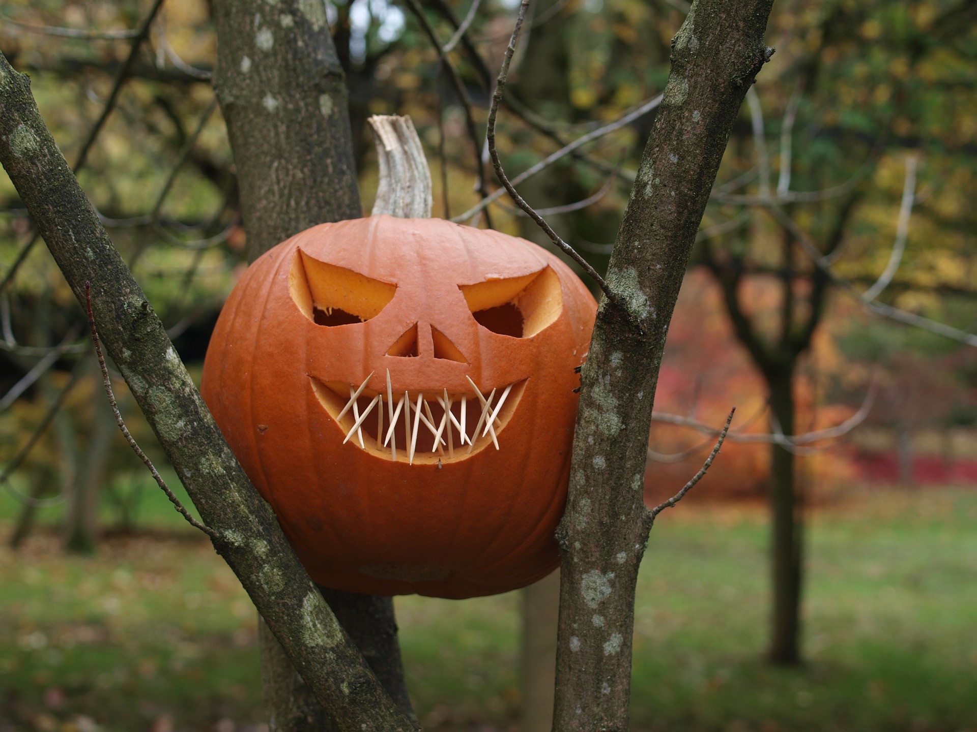 jack a lantern