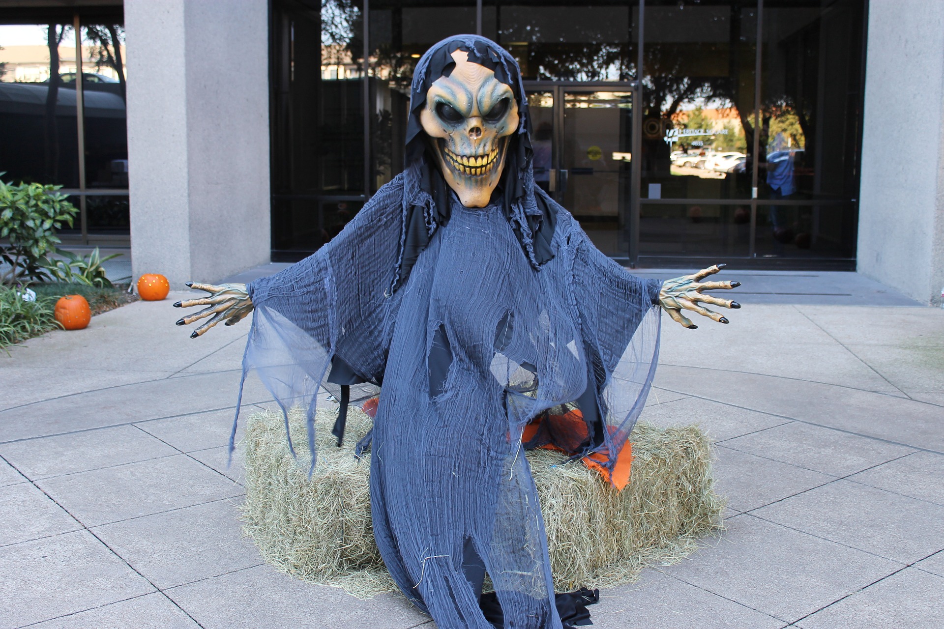 Halloween witch