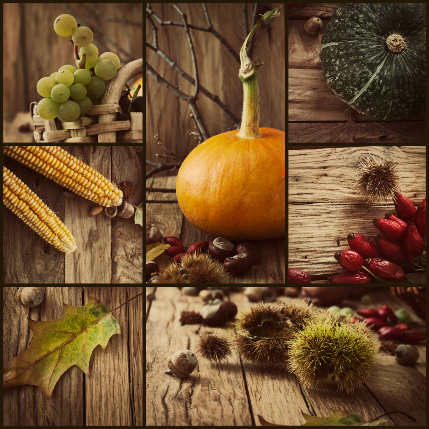 thanksgiving decor