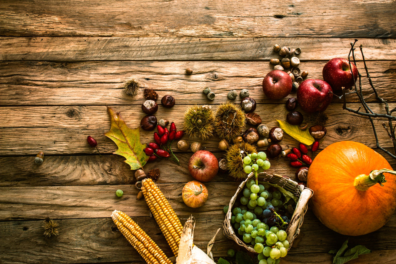 autumn thanksgiving