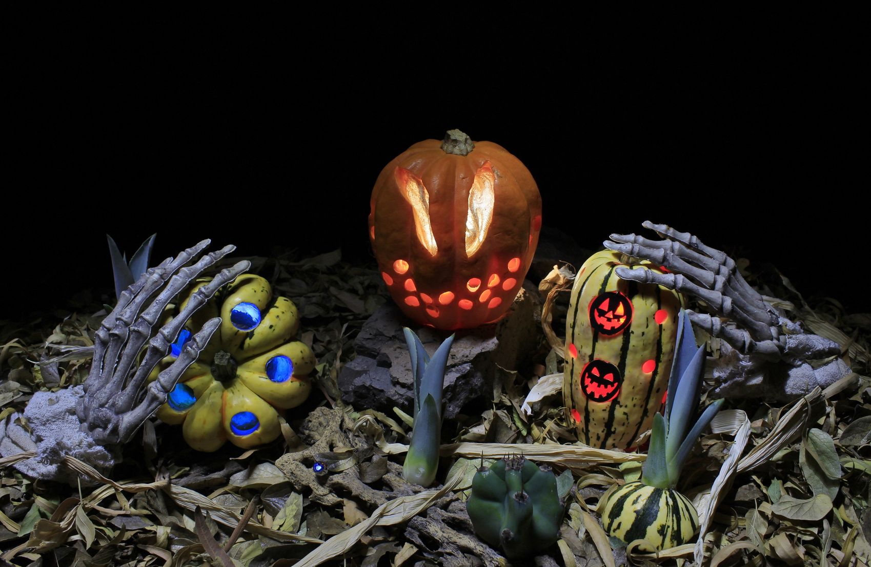 huanted house display
