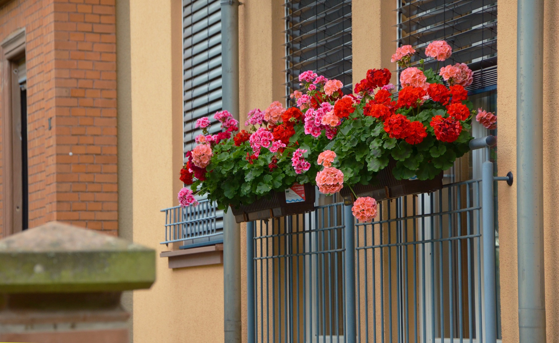 balcony window box