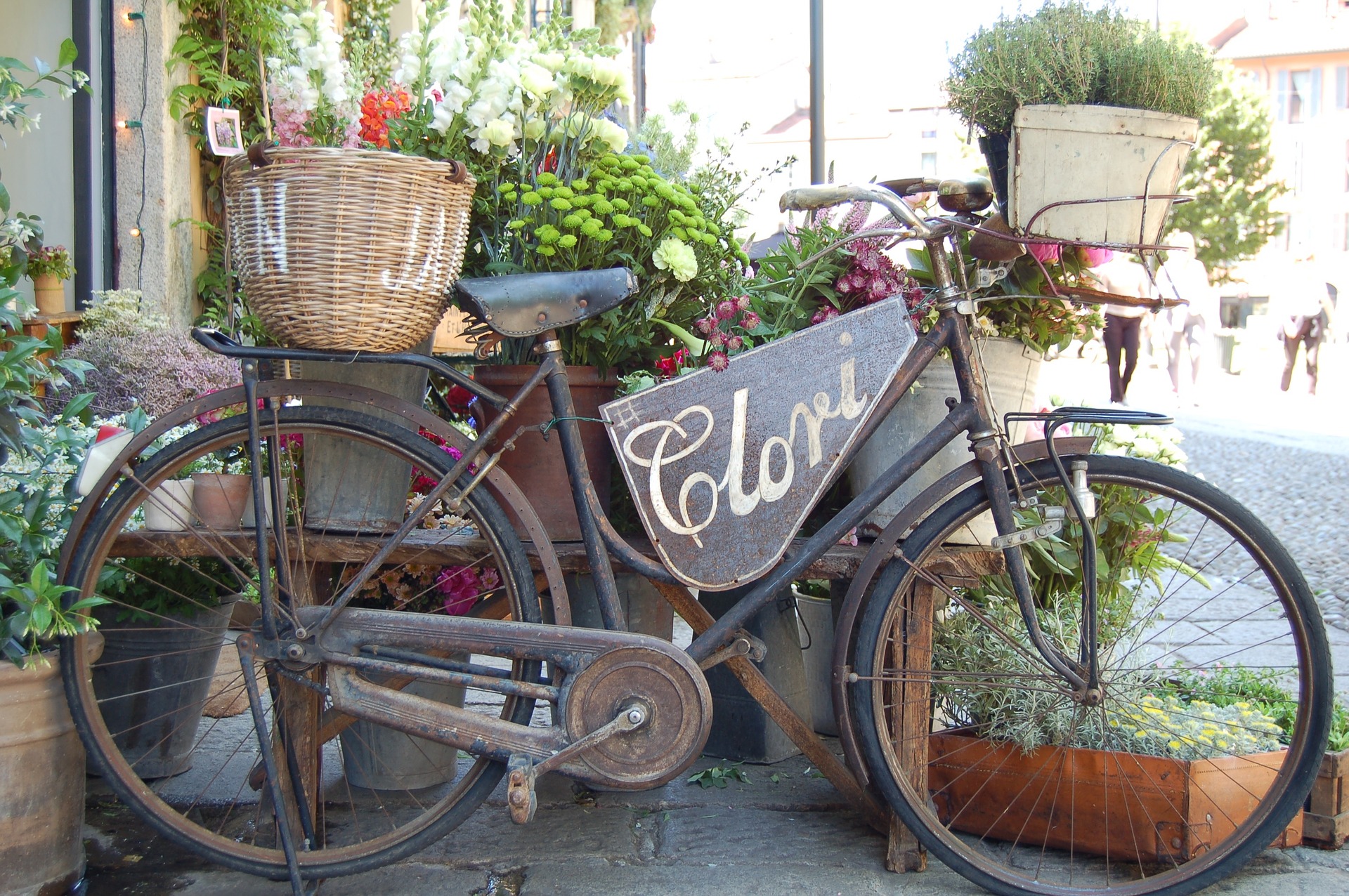 bicycle flower container