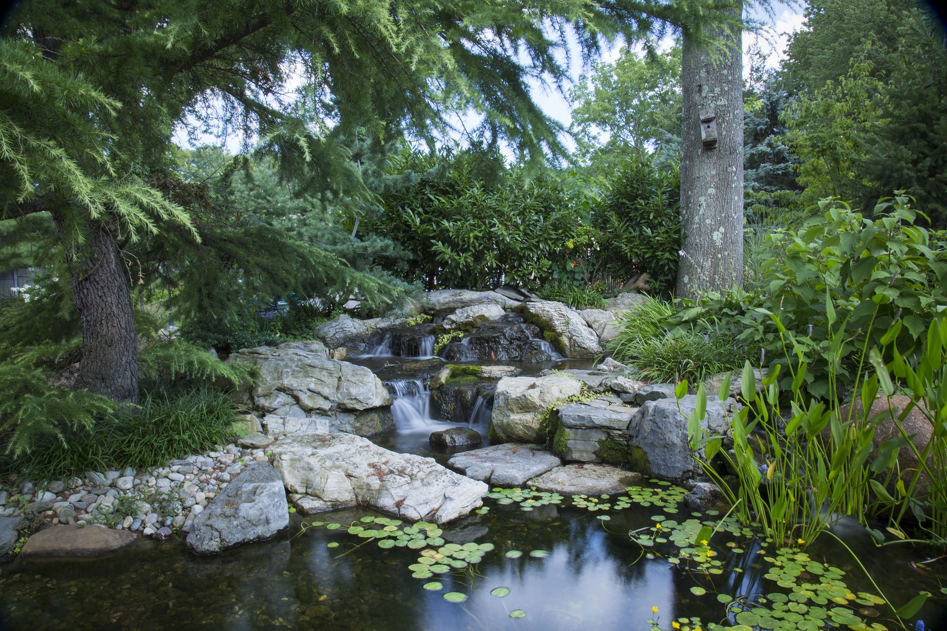 garden water pond