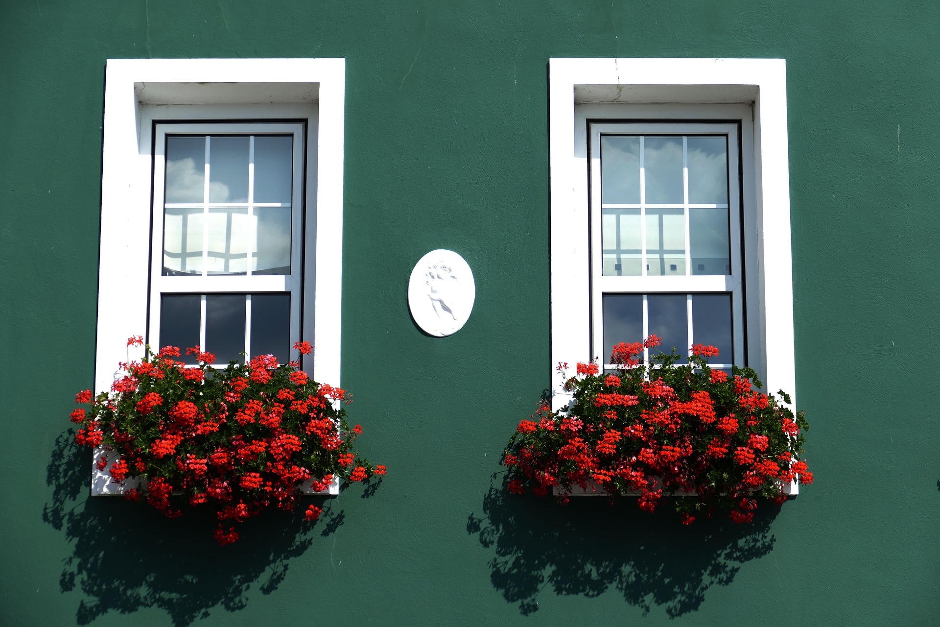 window boxes