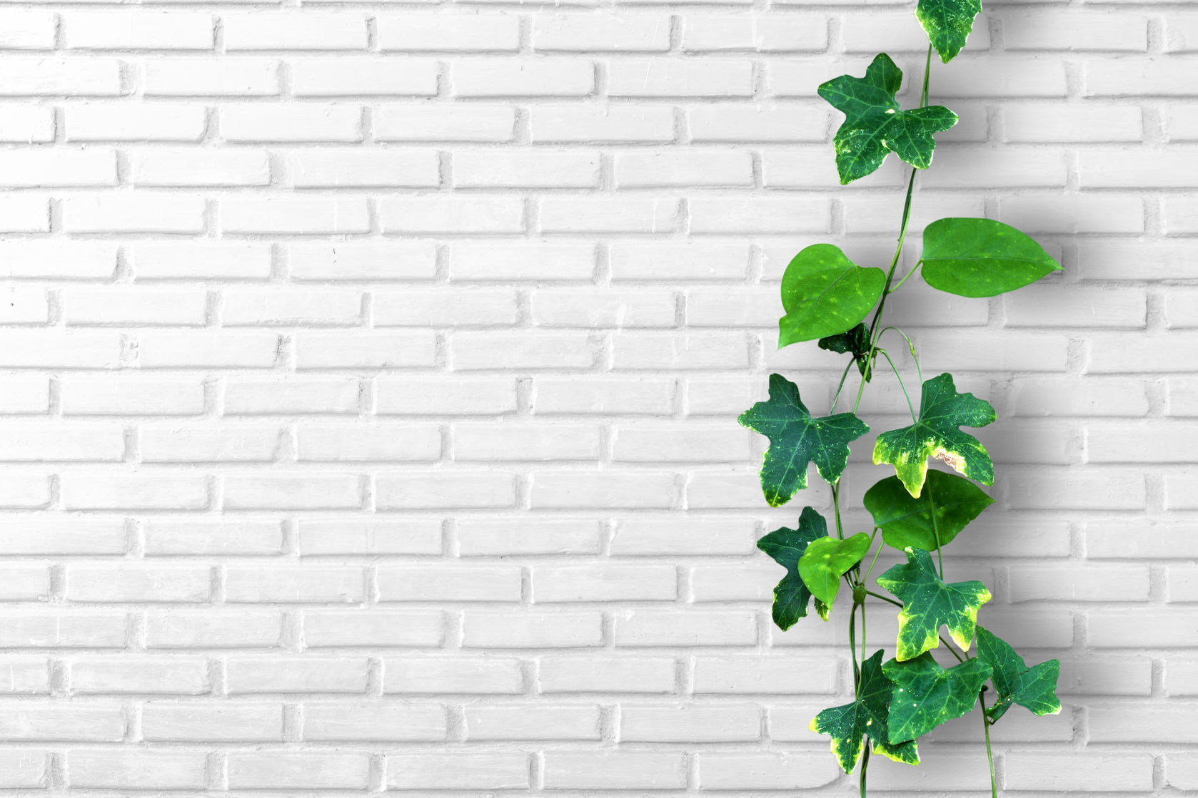 plant garden wall decor