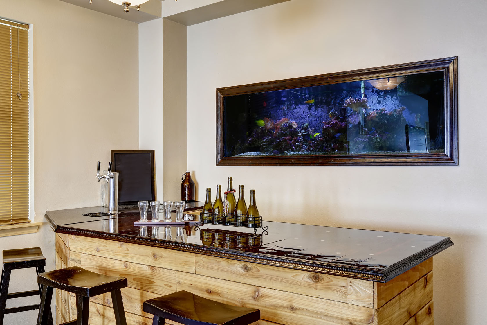wall aquarium
