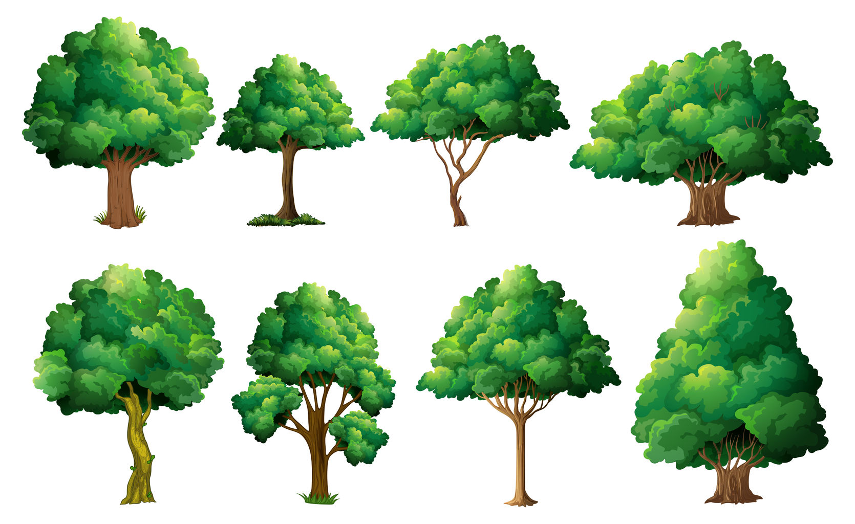 planting trees