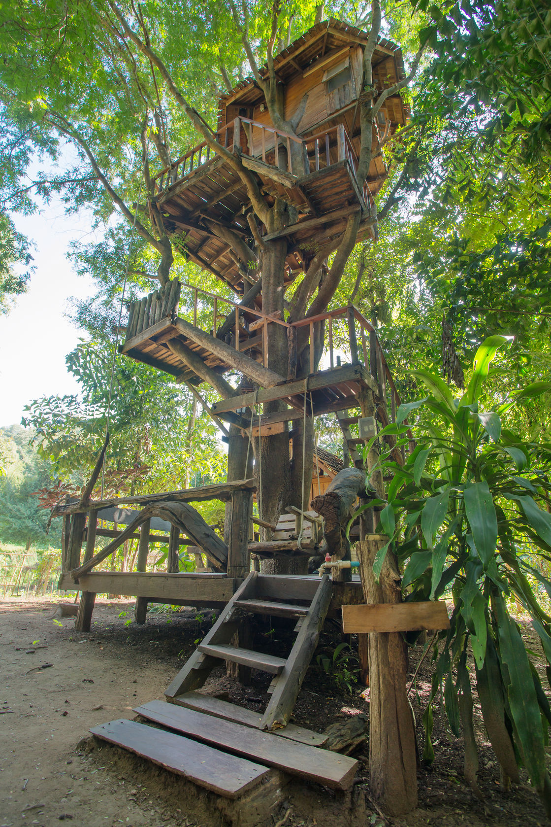 tree house