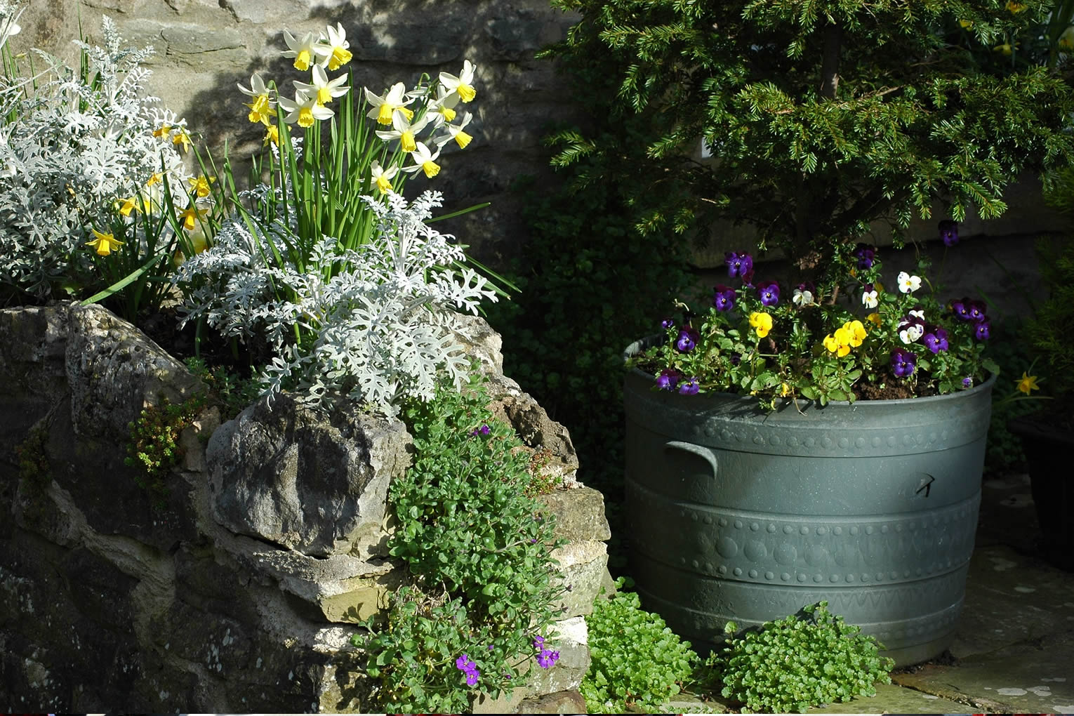 spring flowers
