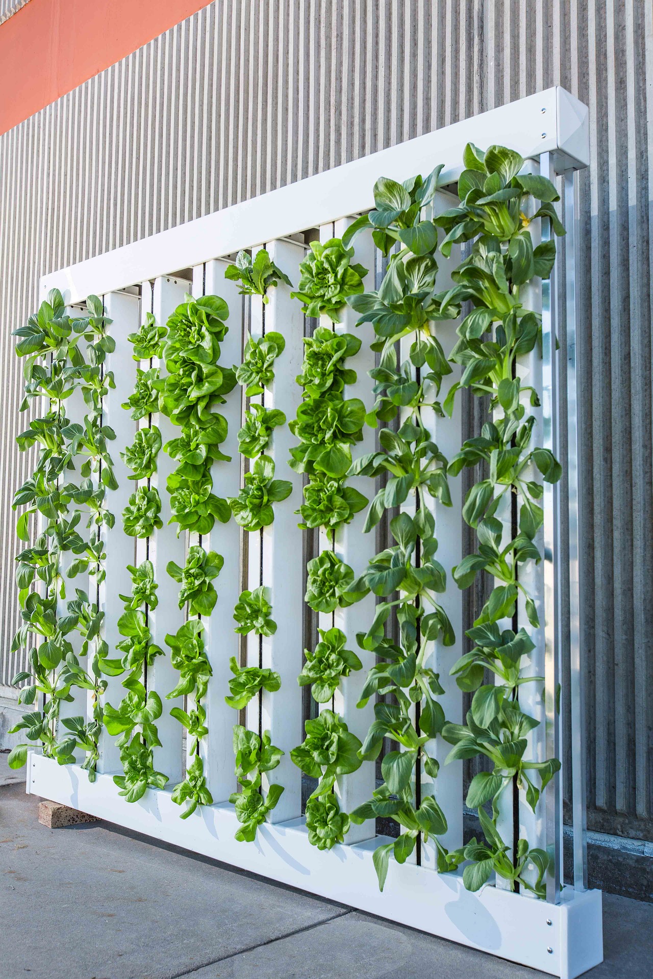 vertical hydroponic farm
