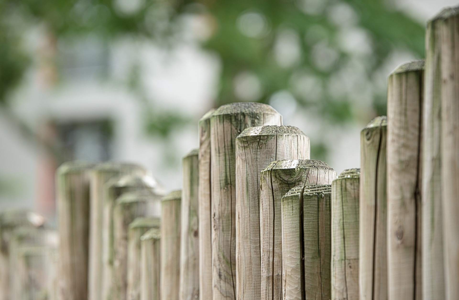 garden fence