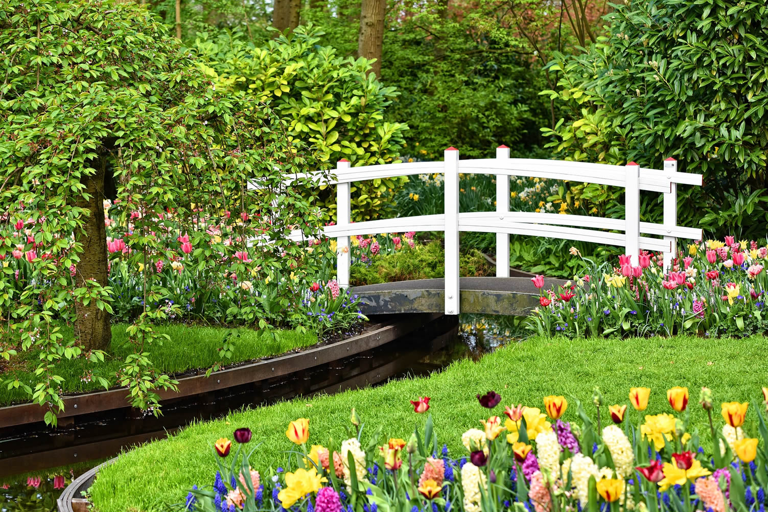 flower garden