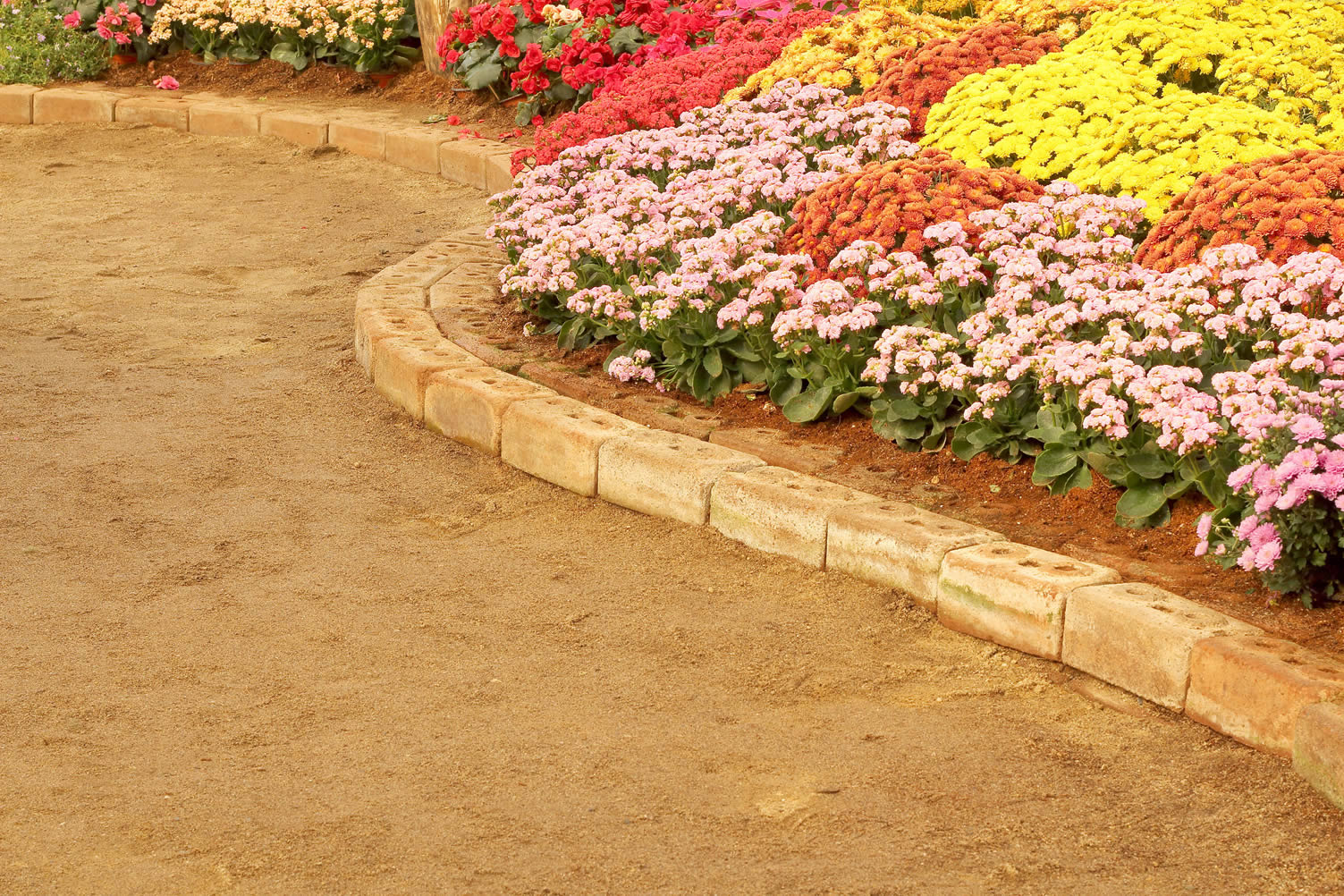 flower garden