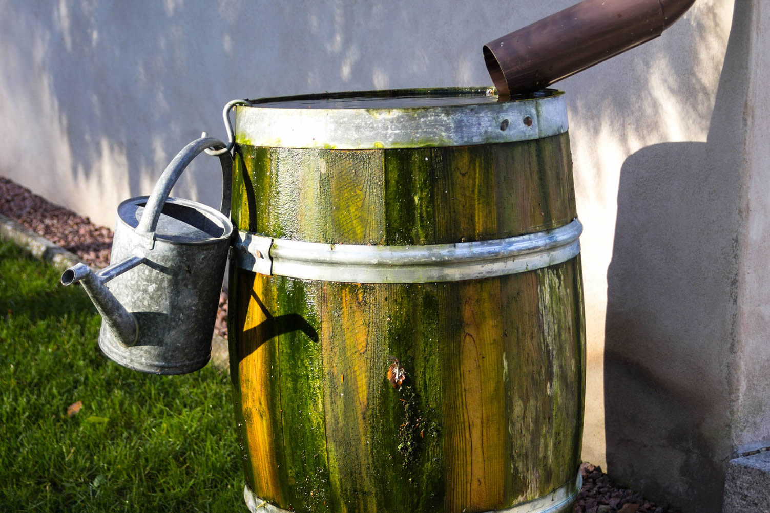 rain barrel