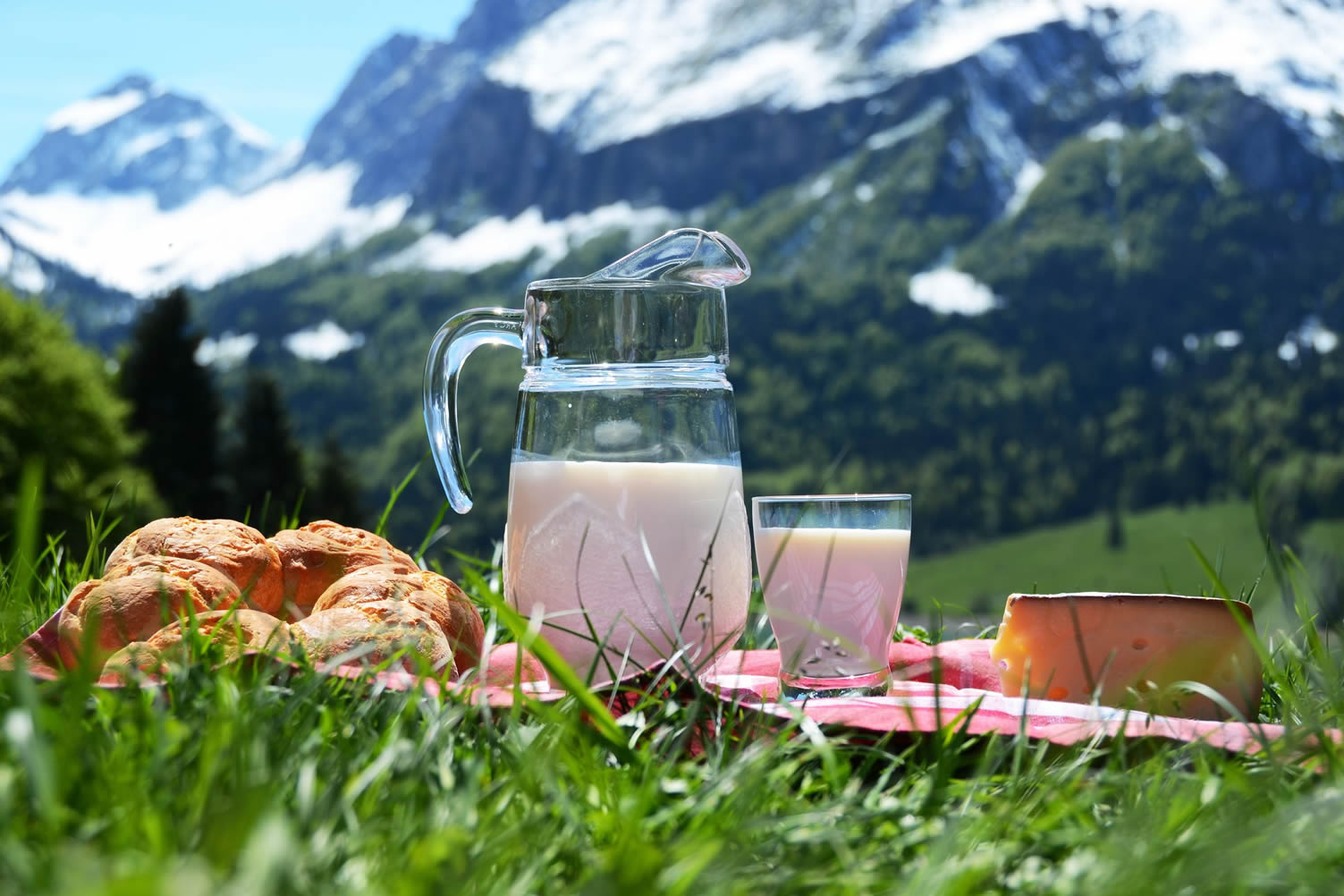picnic in mountains