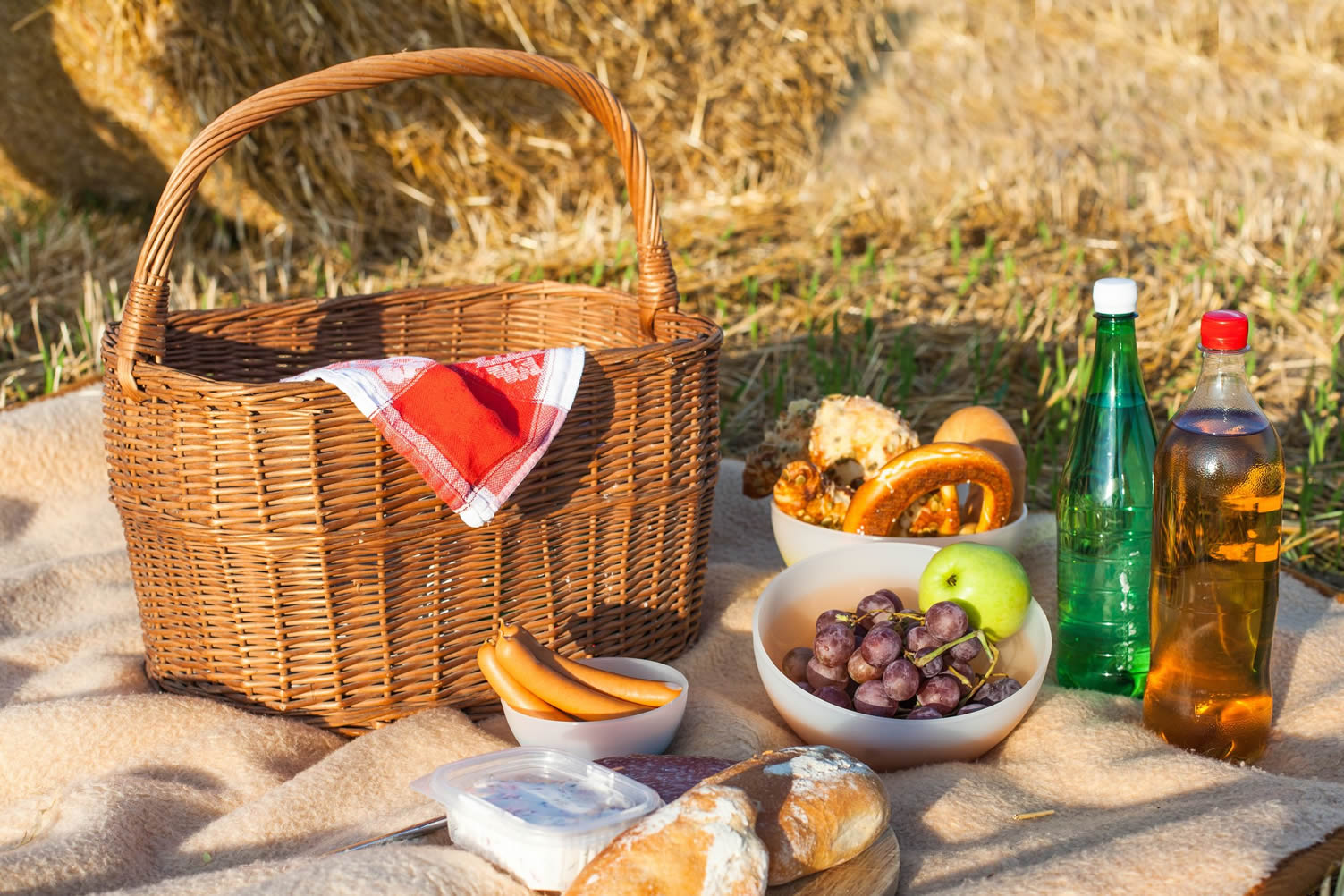 farm picnic