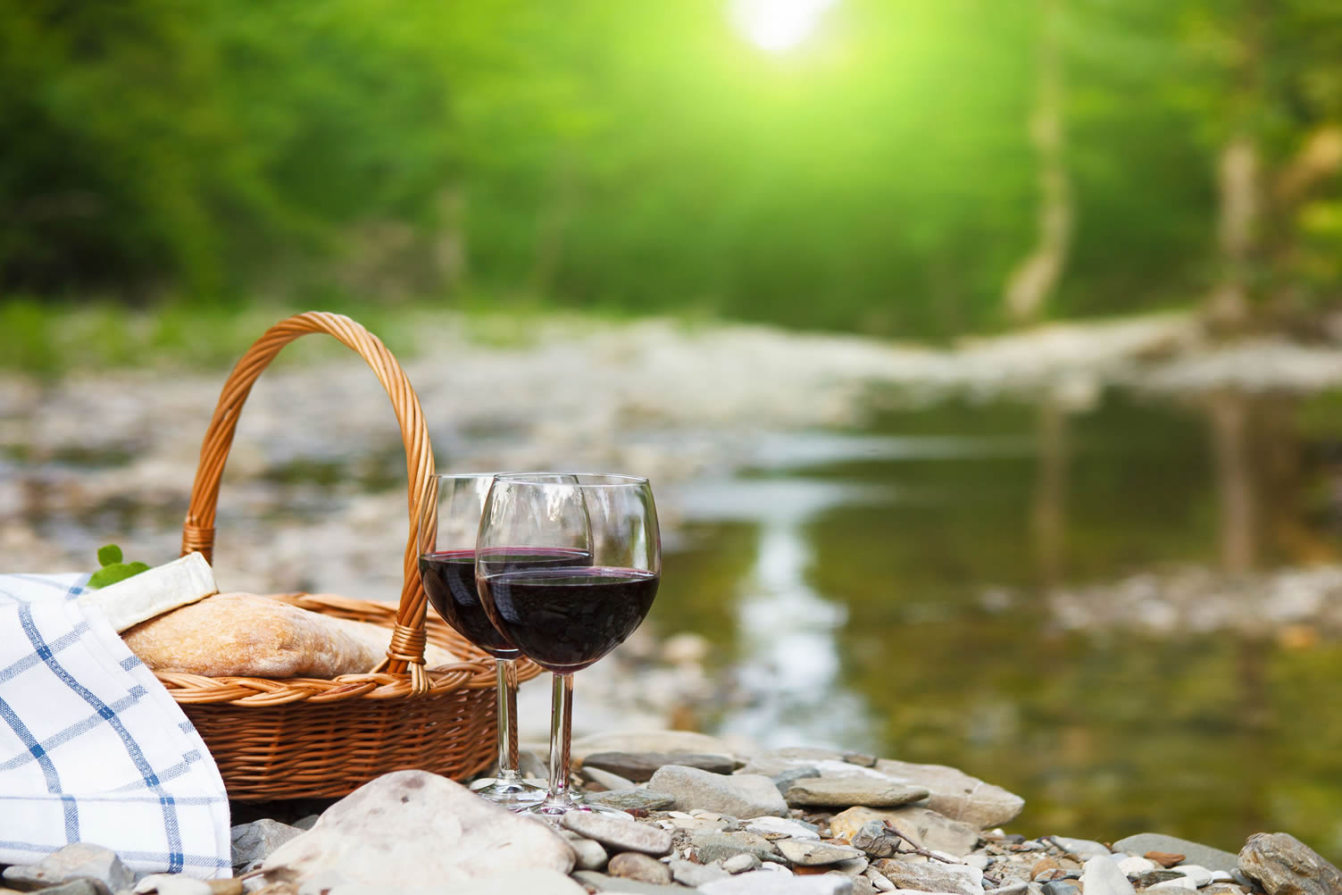 lake picnic