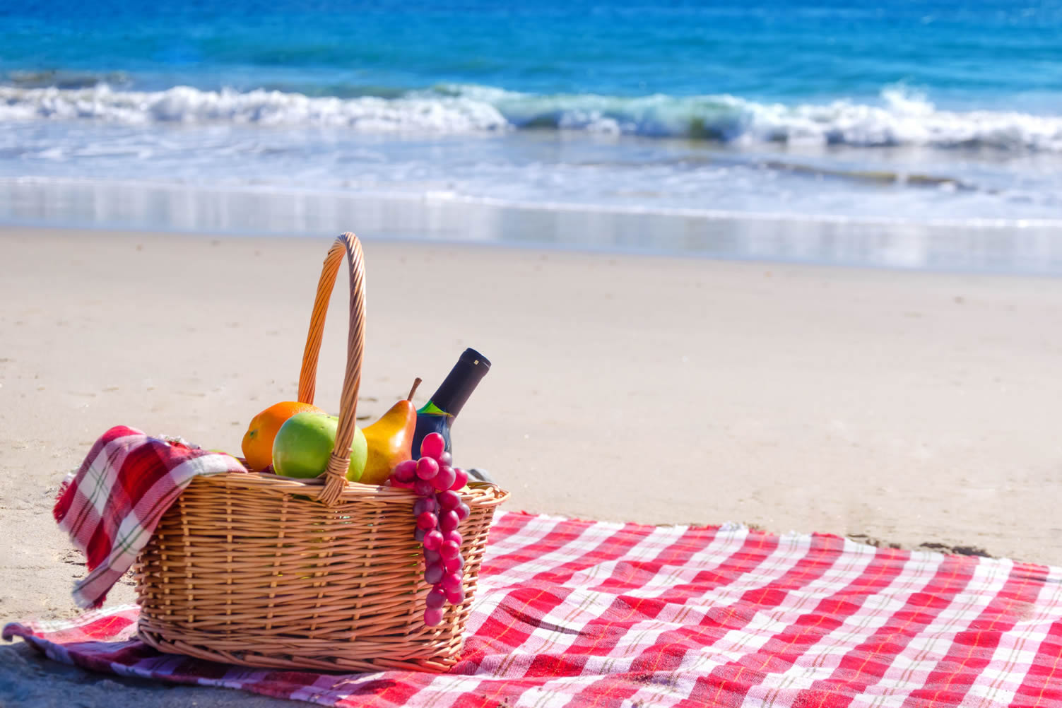 picnic by the beach