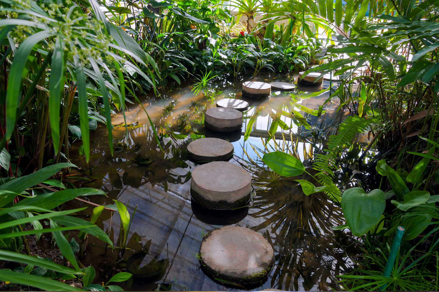 Stepping Over Your Pond – Neatly Floating | Photo Remodeling
