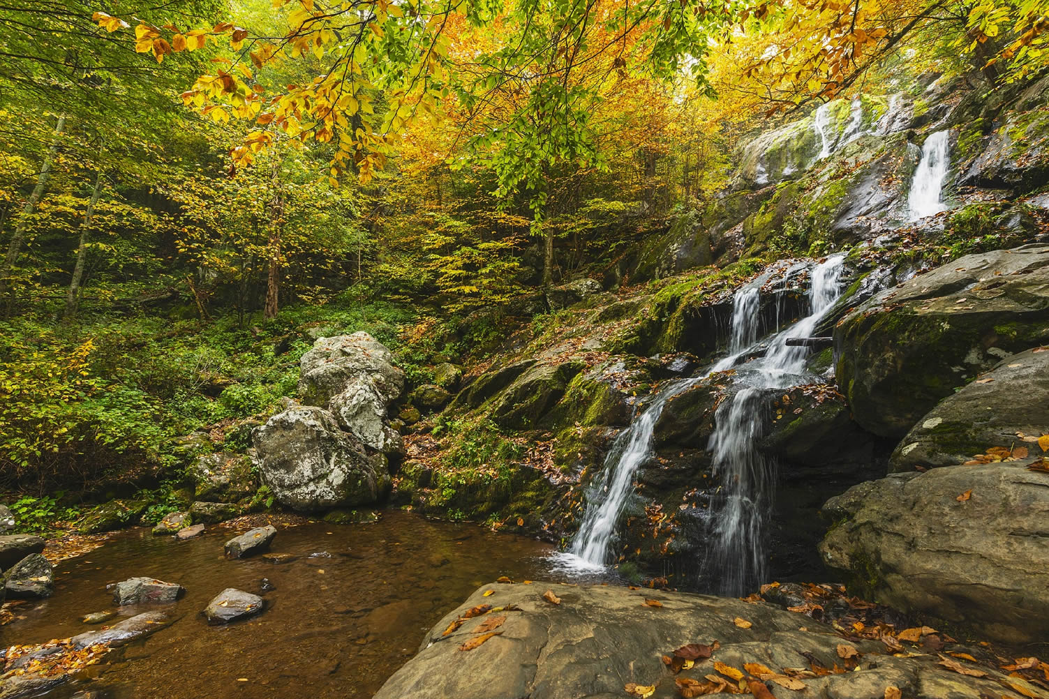 Shenendoah national park