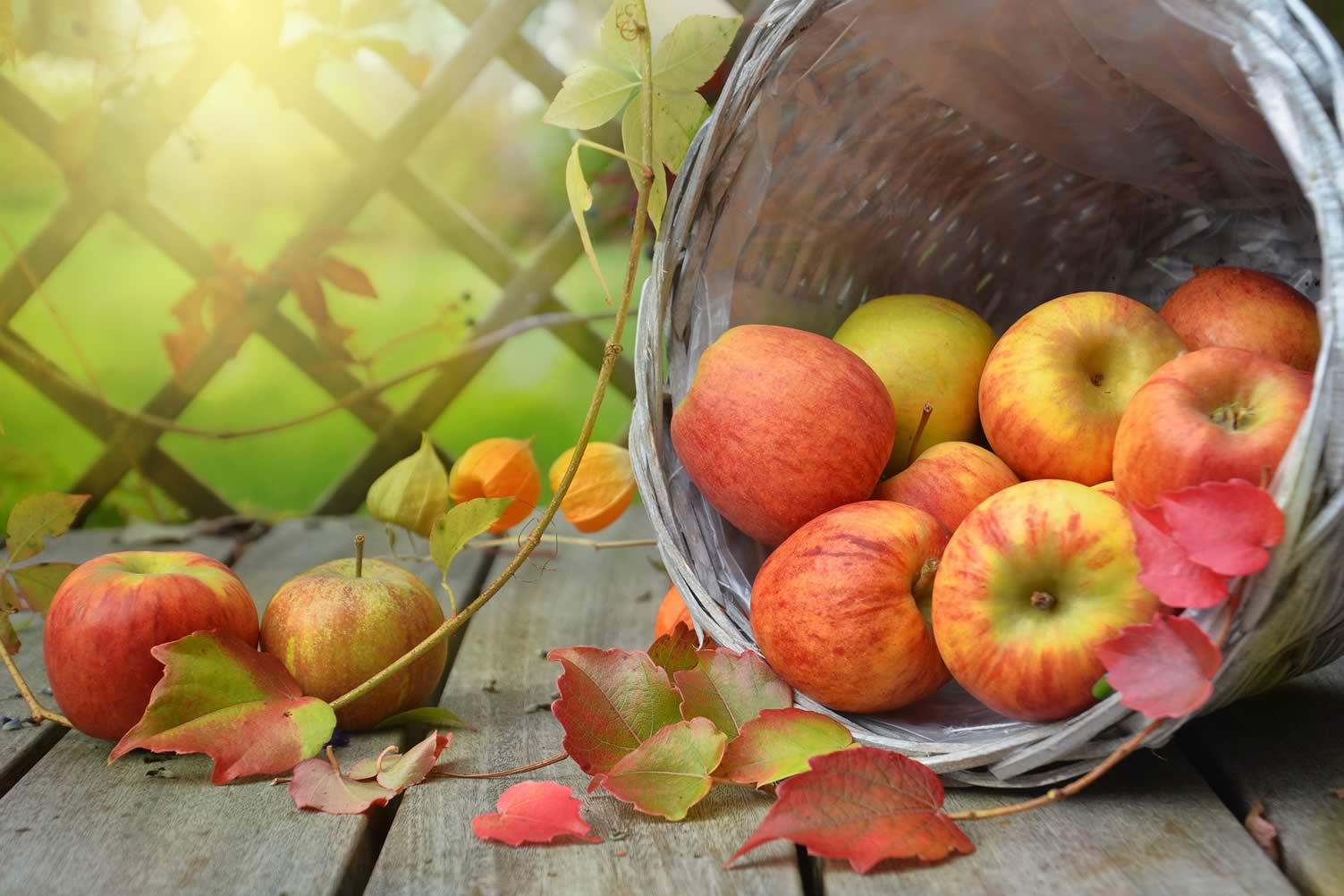 apple autumn decor