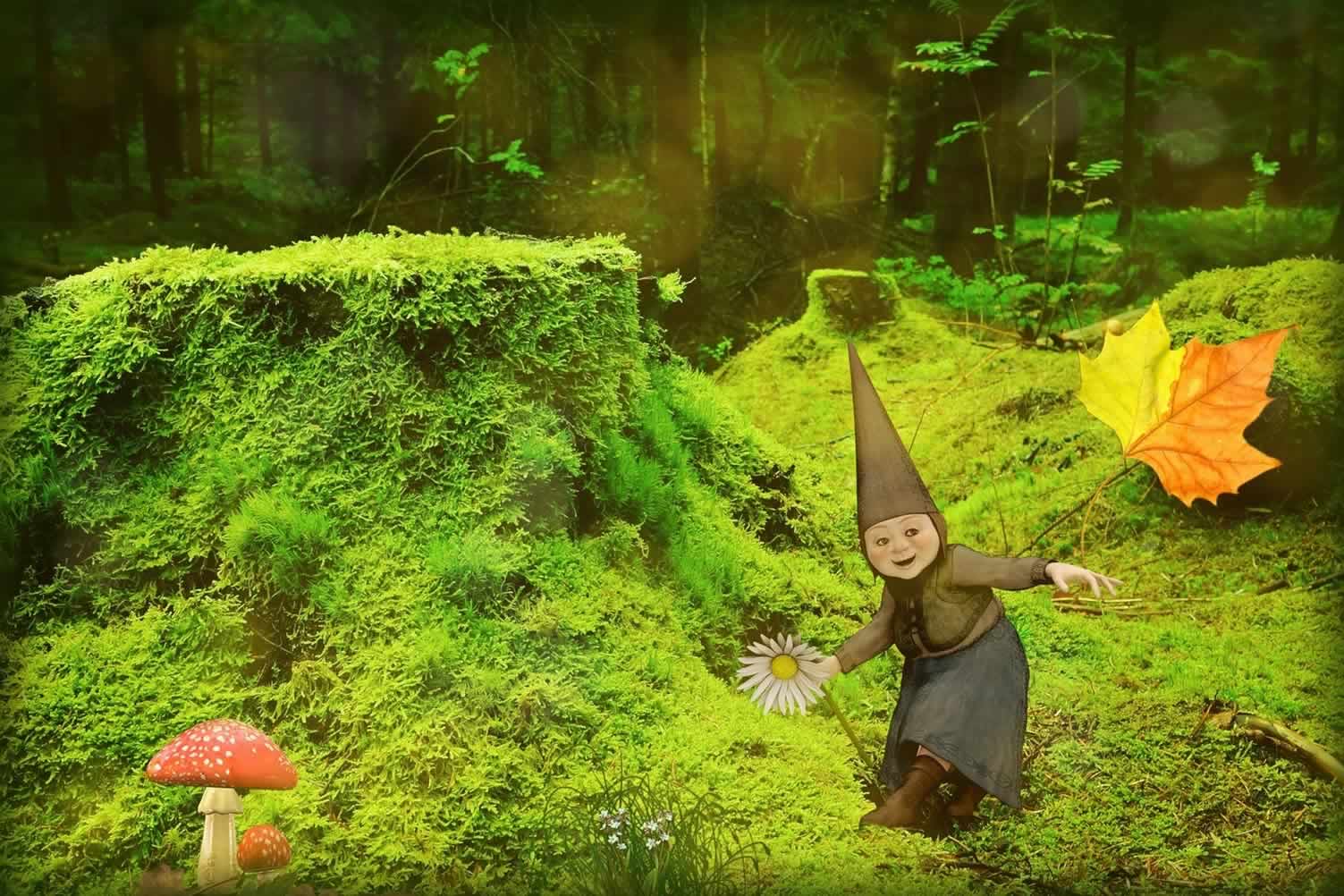 green forest gnome