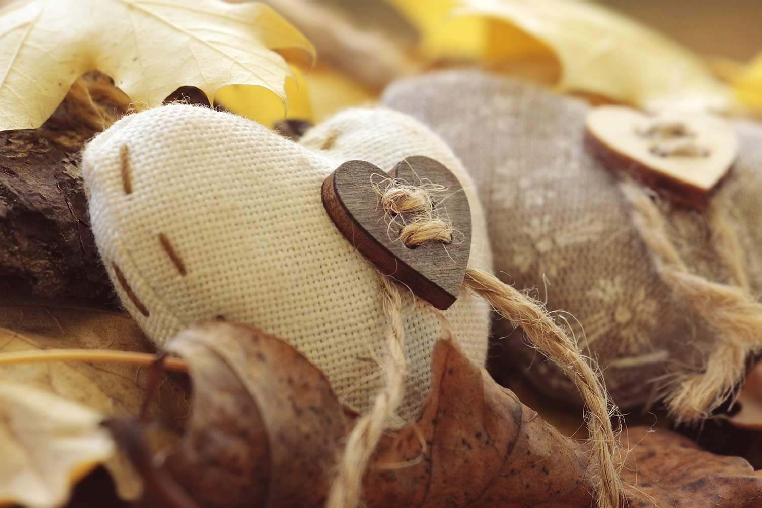 autumn decor