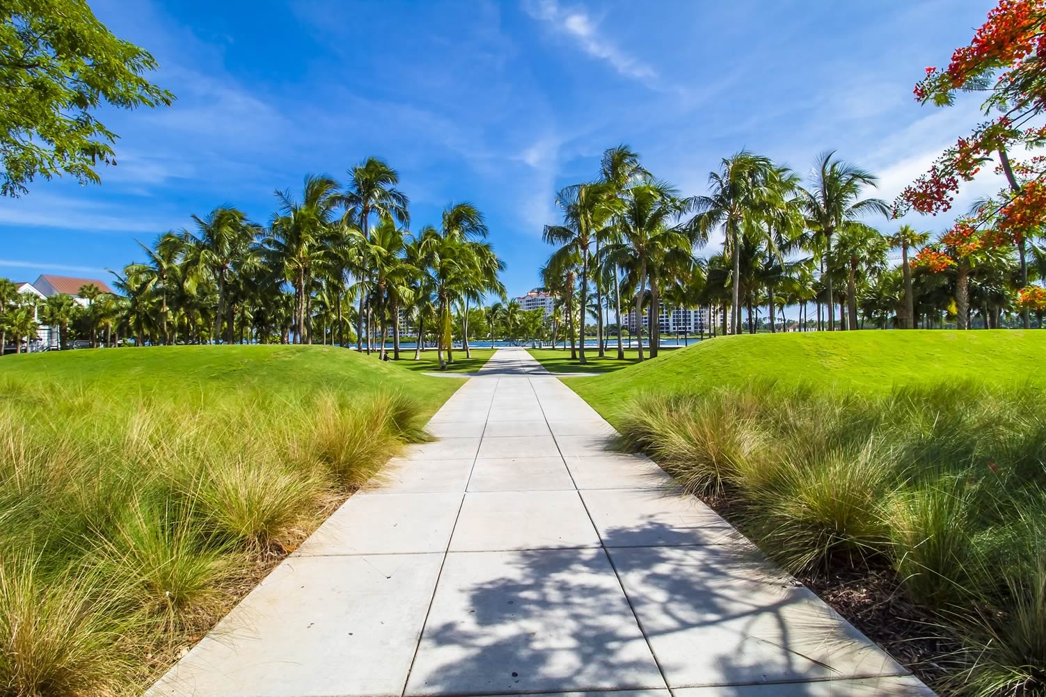Miami summer beach