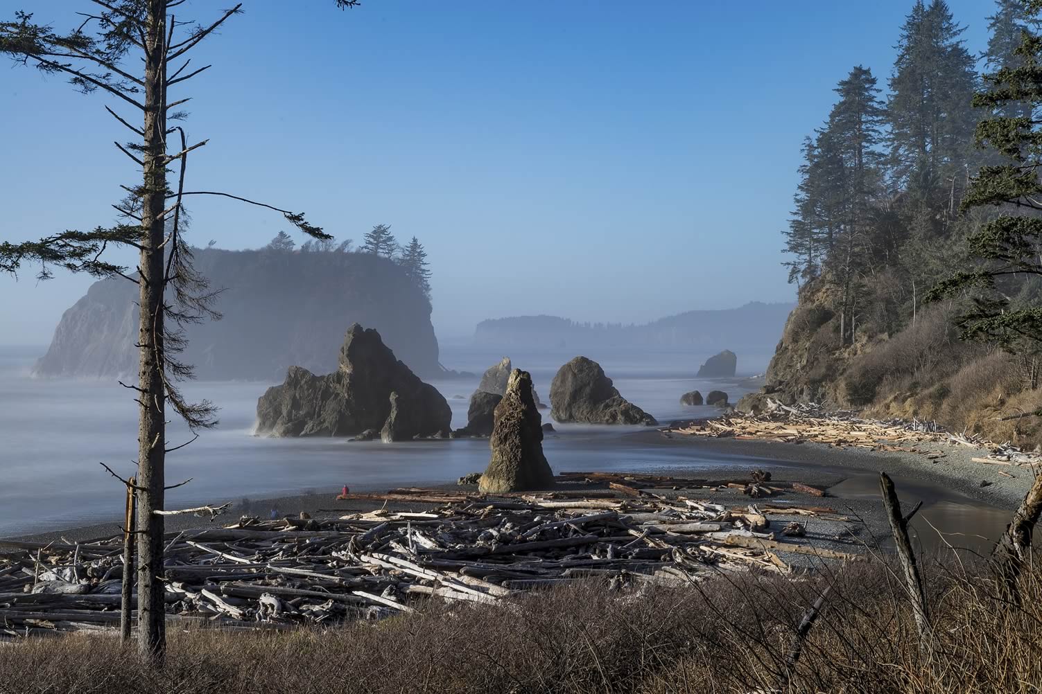 pacific coast beach