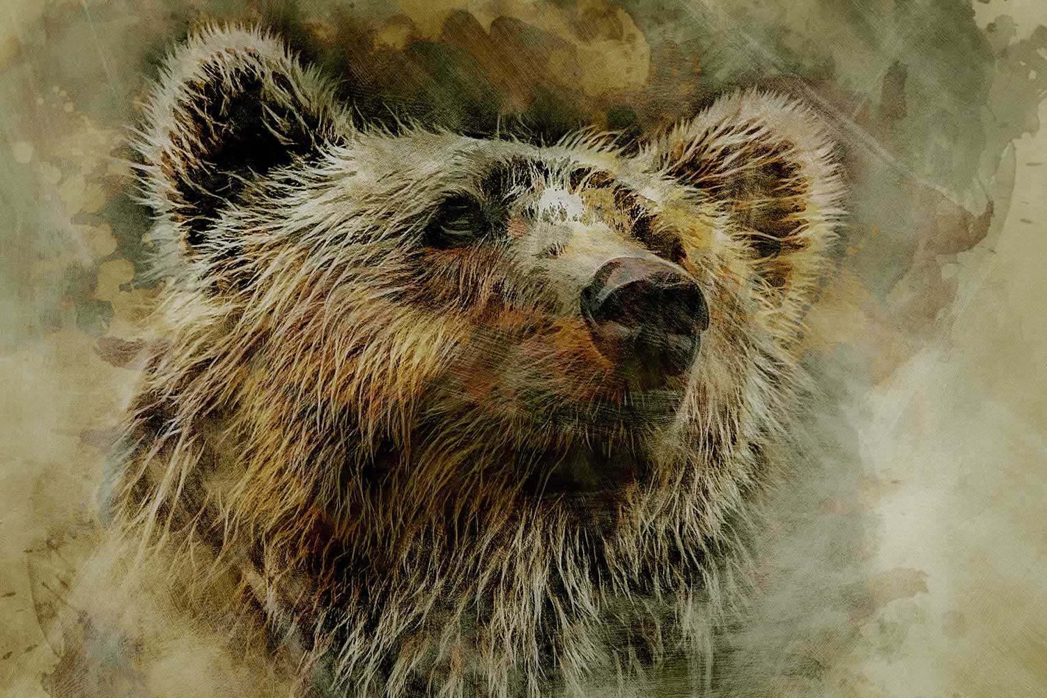 brown grizzley