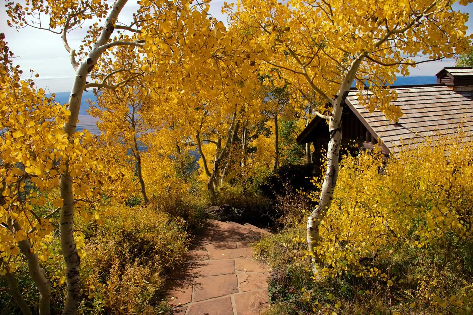 aspen colors