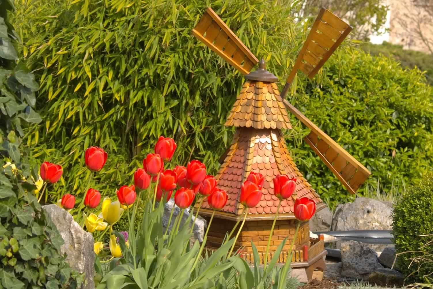 garden ideas