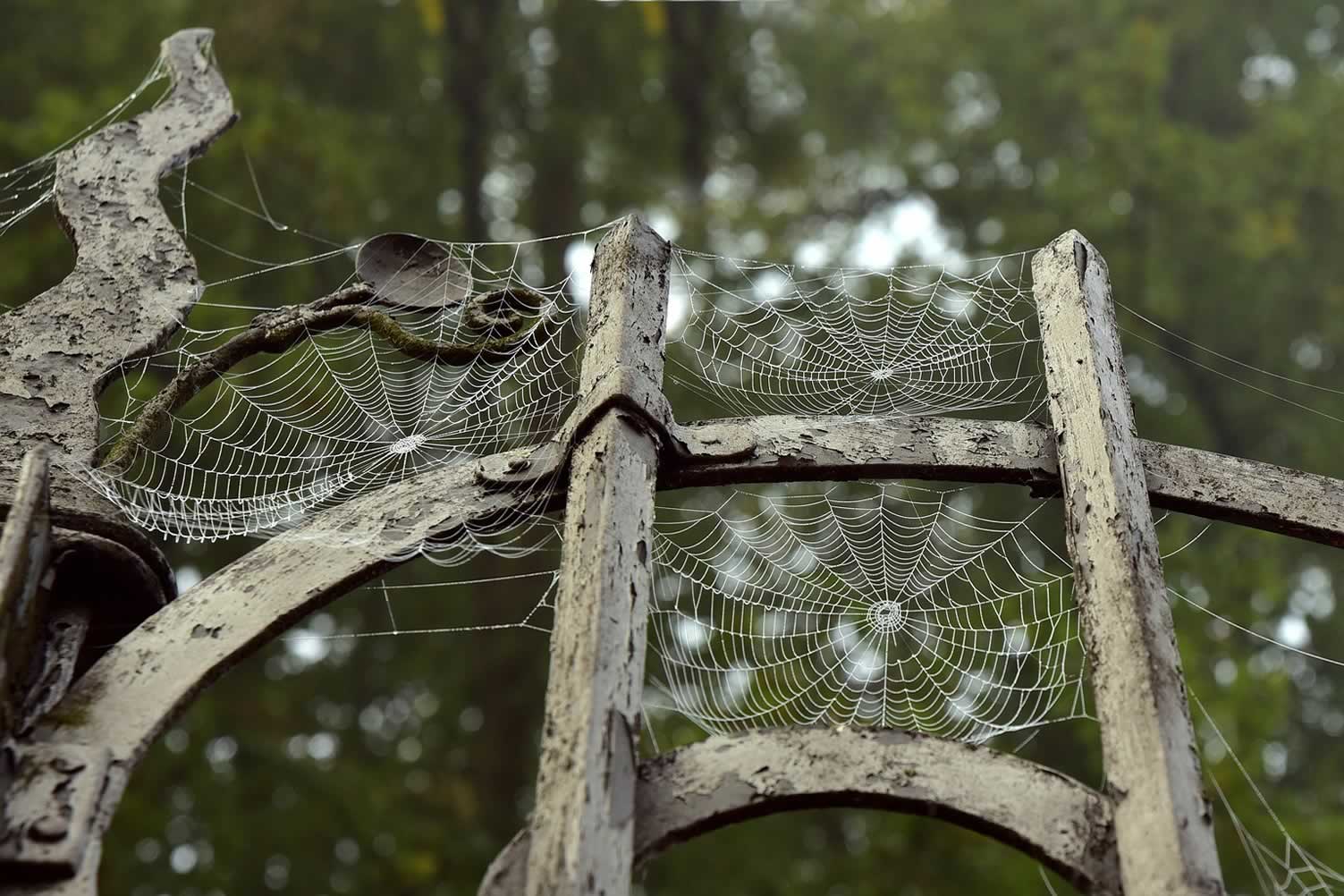 decorating for Halloween