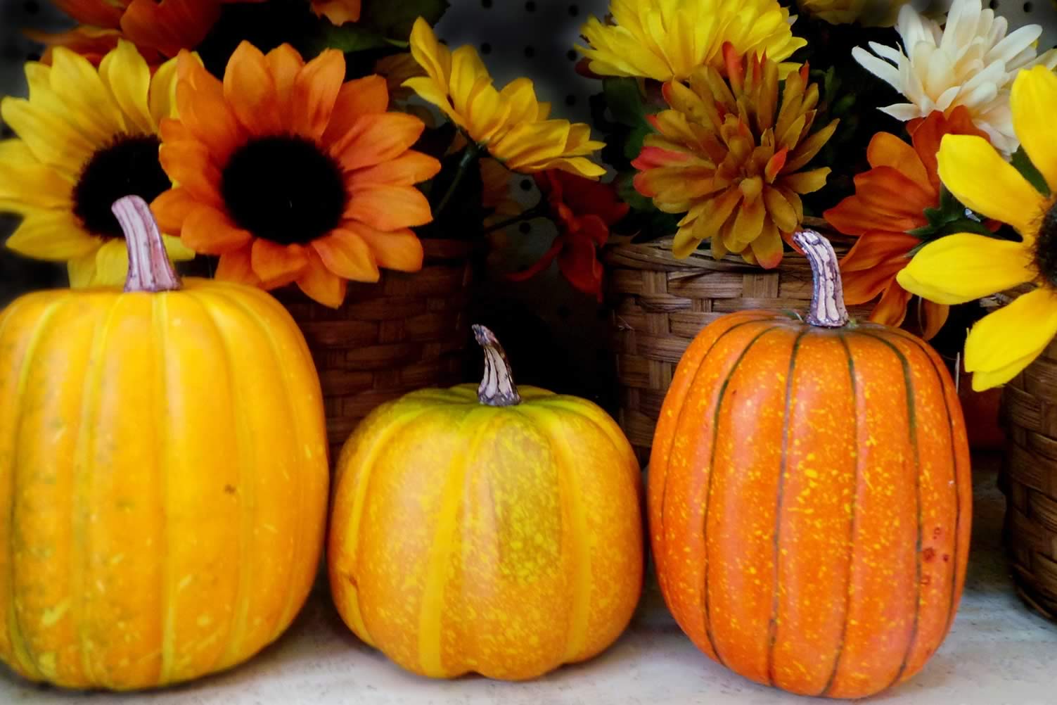 Pumpkin Display