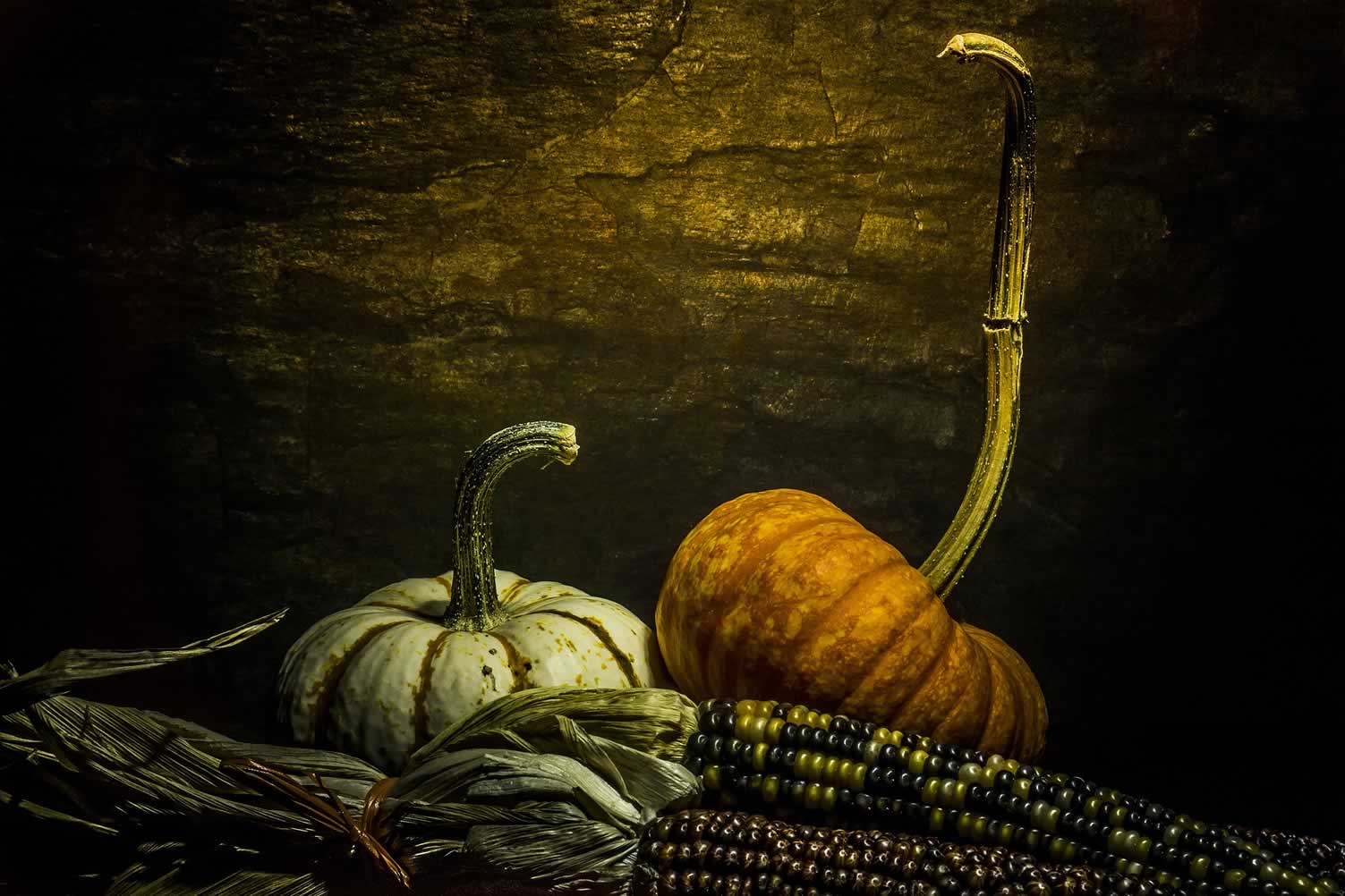 Pumpkin Display