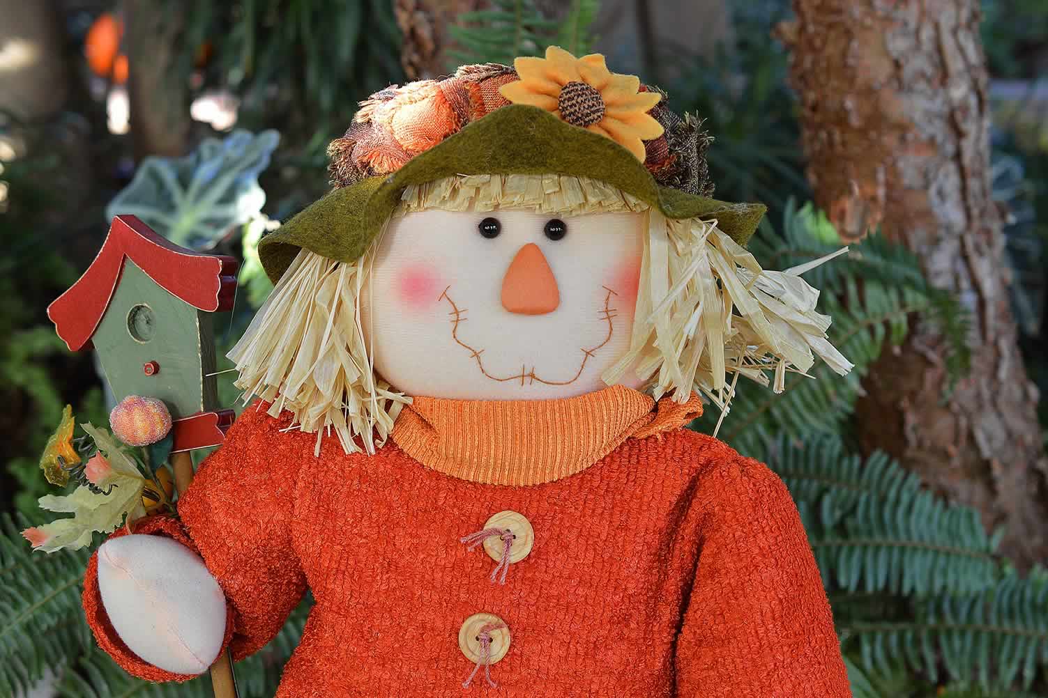 scarecrow to come down