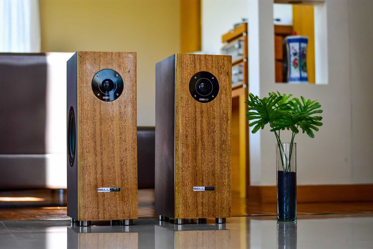 home theater setup