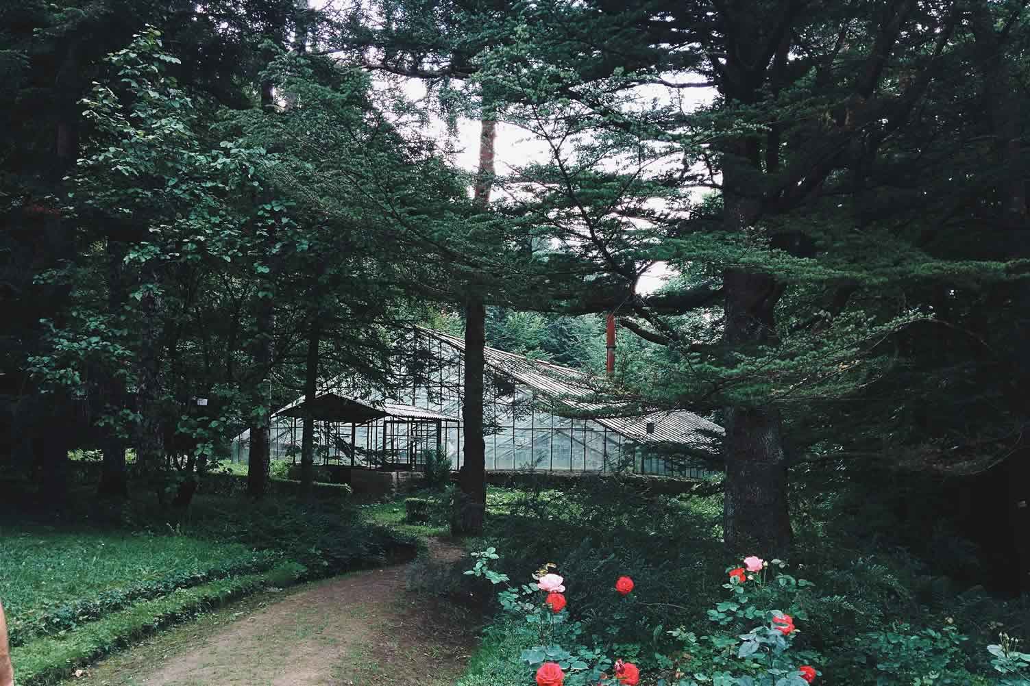 greenhouse