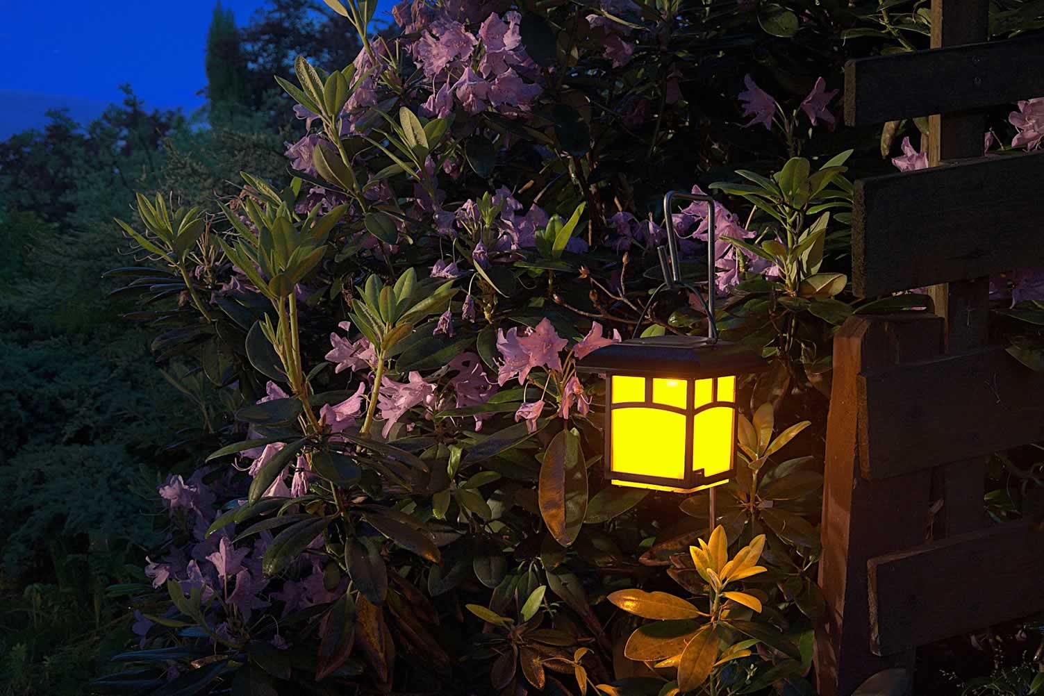 landscape lighting