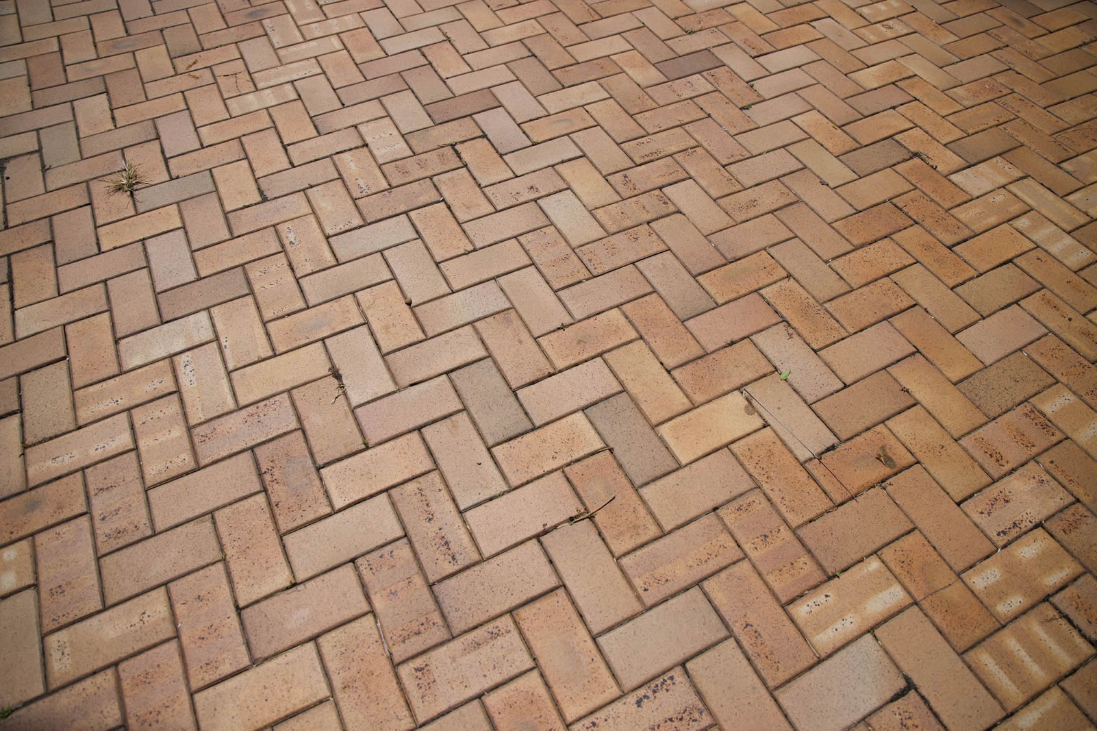 brick walkway