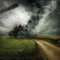 There is a Tornado Storm Warning – What’s Next