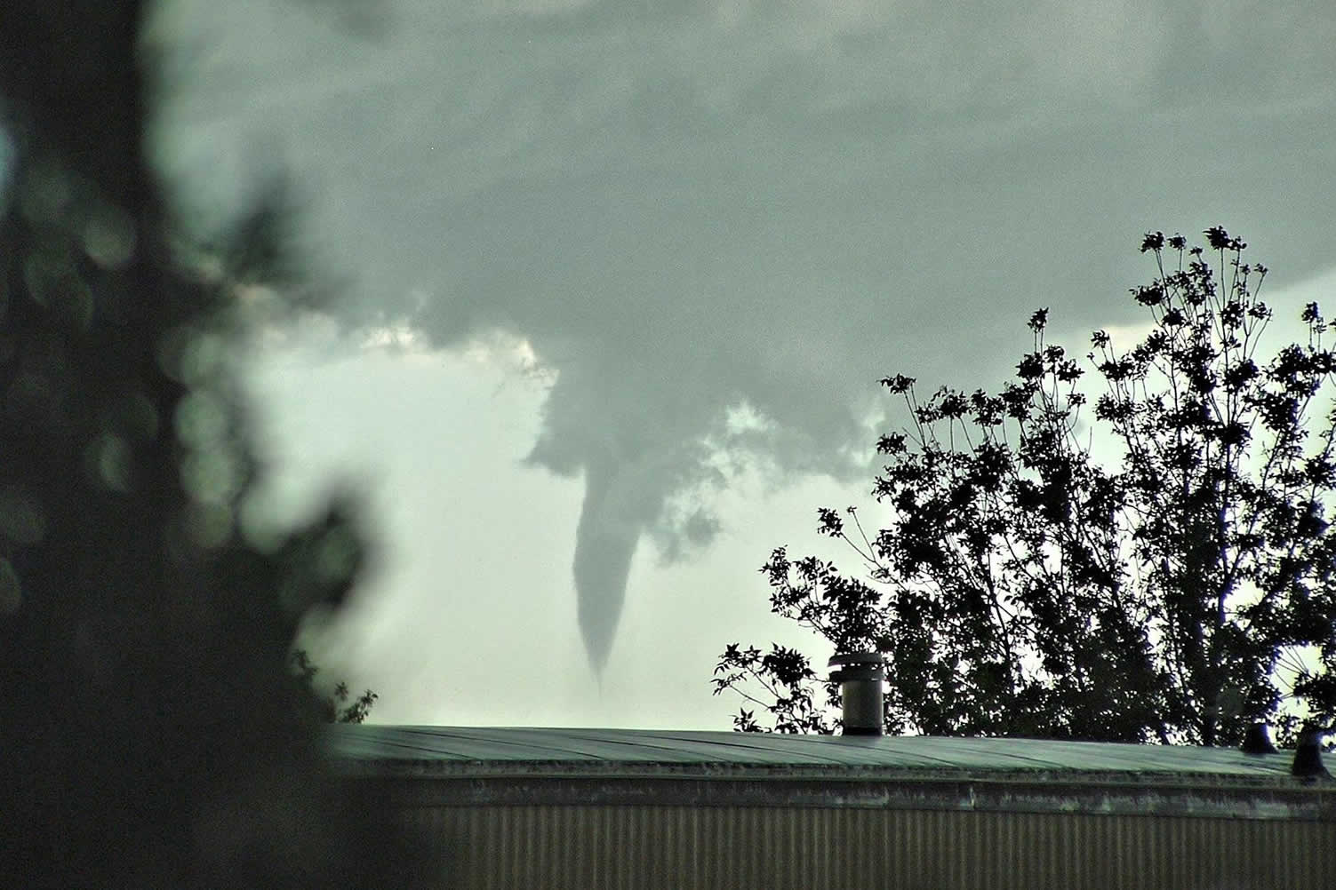 tornado season