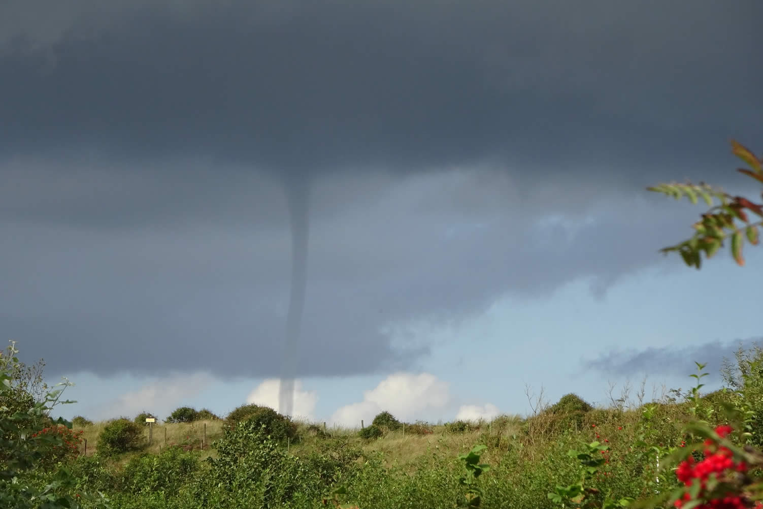 tornado season